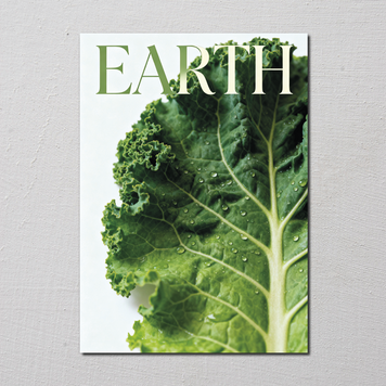 Постер інтер'єрний EARTH А5 900351 фото