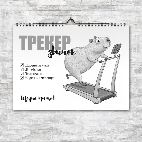 Трекер привычек на год | Планируй месяц и добивайся целей легко! | A4 настенный горизонтальный TRACKER-1004 фото